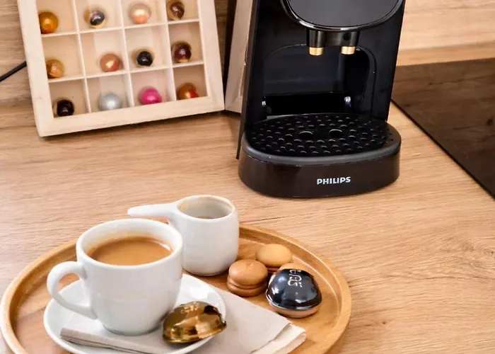 Appartement Confortable Et élégant En Centre